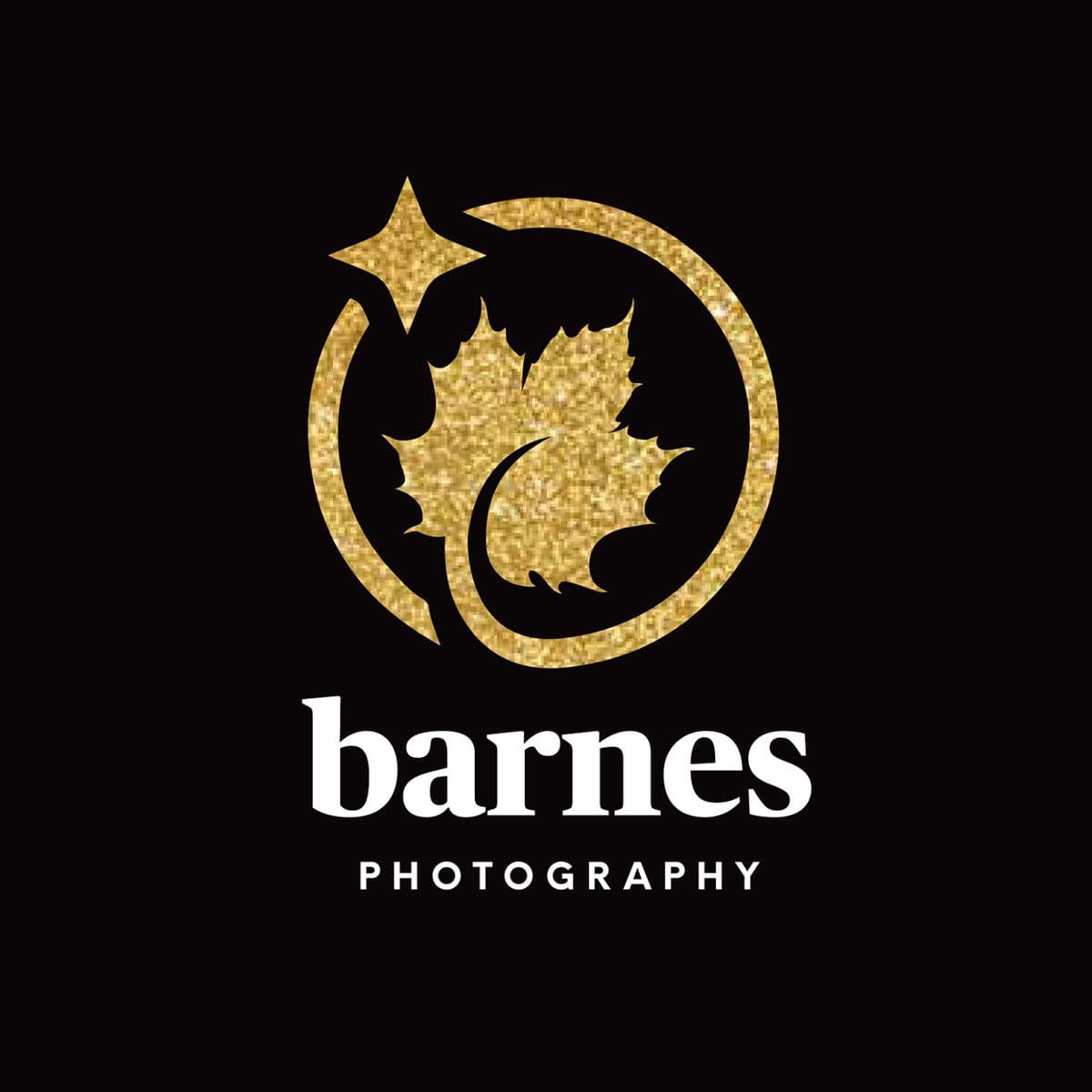 Barnes Photography Logo Design