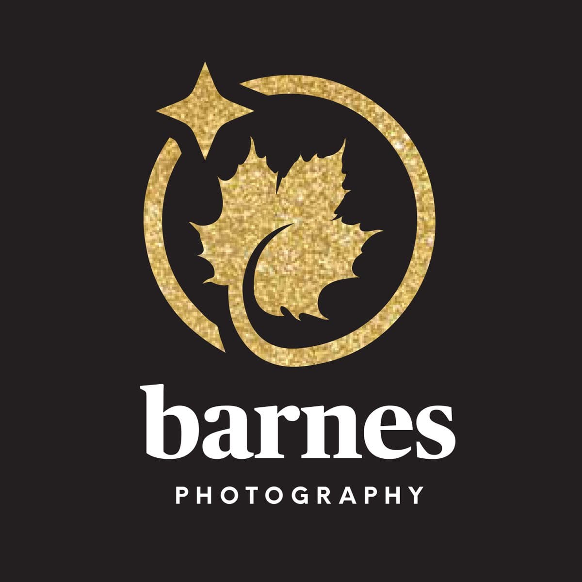 Barnes Photography Logo Design