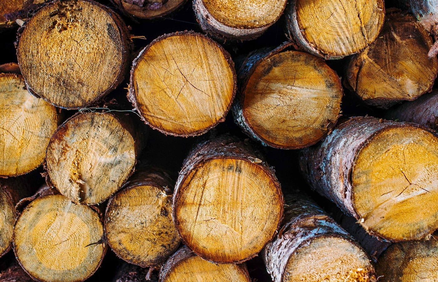 Stack of Wood Logs