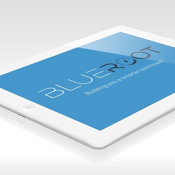 BlueRoot Technologies Brand Identity