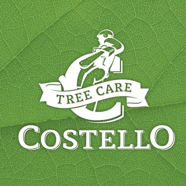 Costello Tree Care Brand Identity
