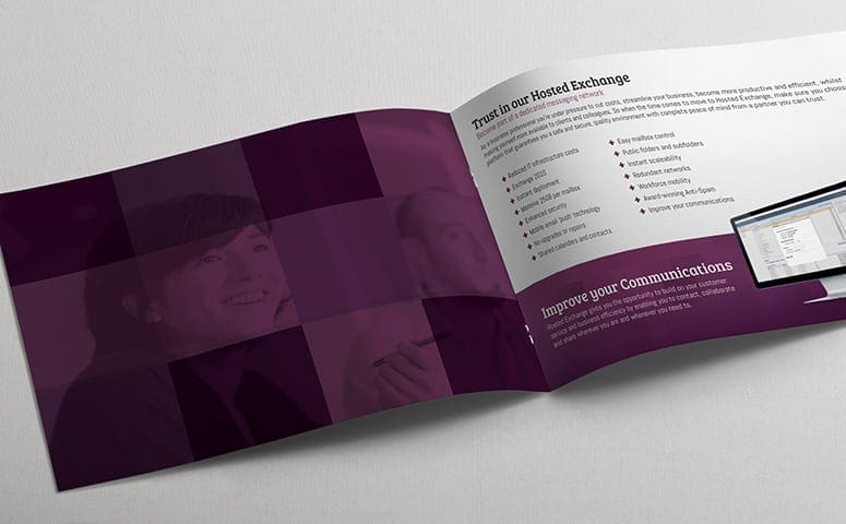 Hosting Company Brochure Design