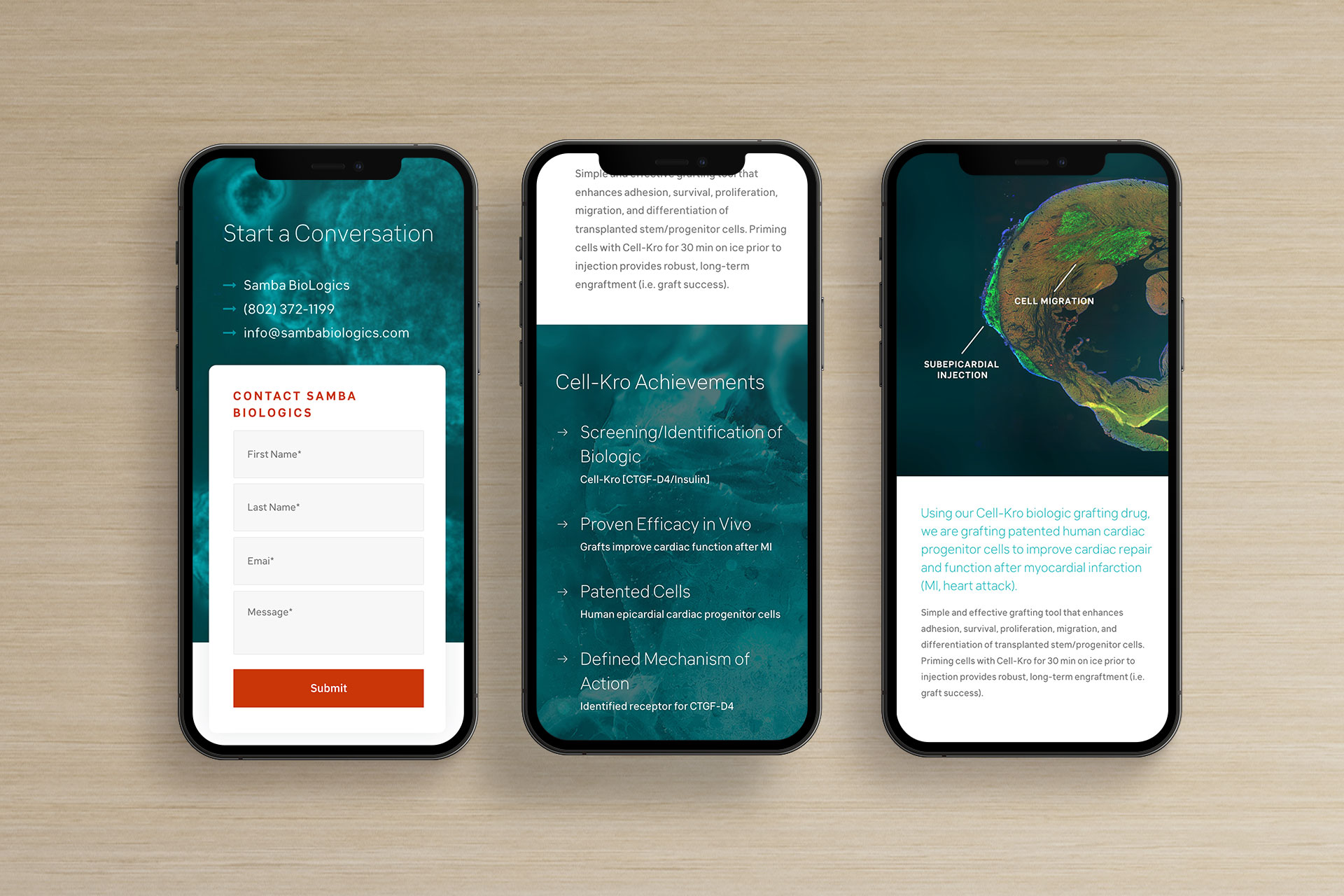 BioTech Web Design on Mobile