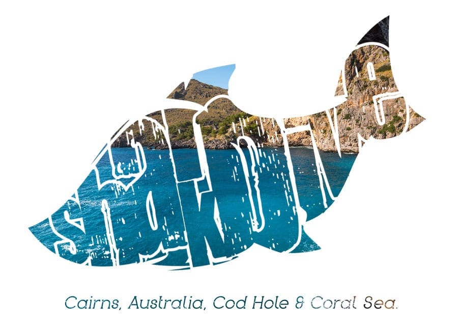 SharkDive Australia TShirt Design