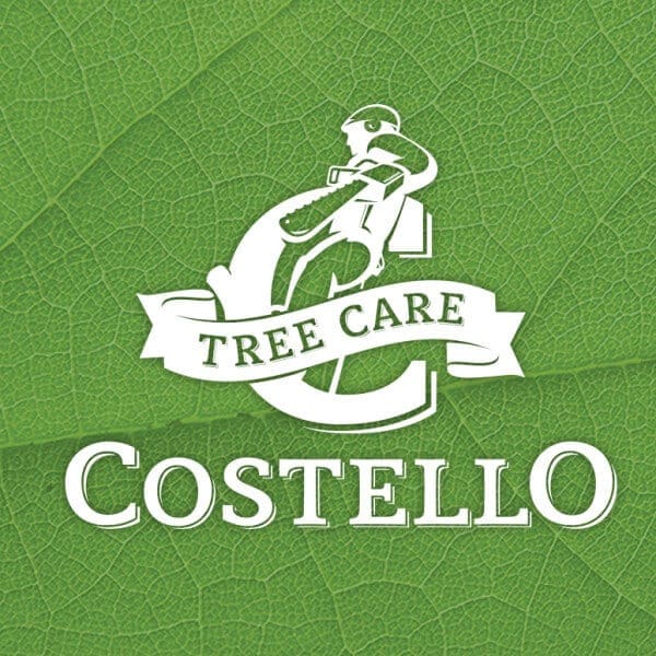 Tree Care Logo Design