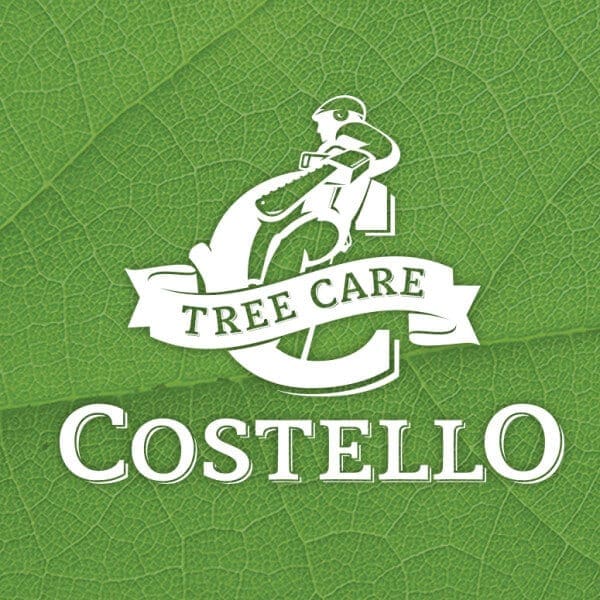 New Hampshire Tree Care Logo Design